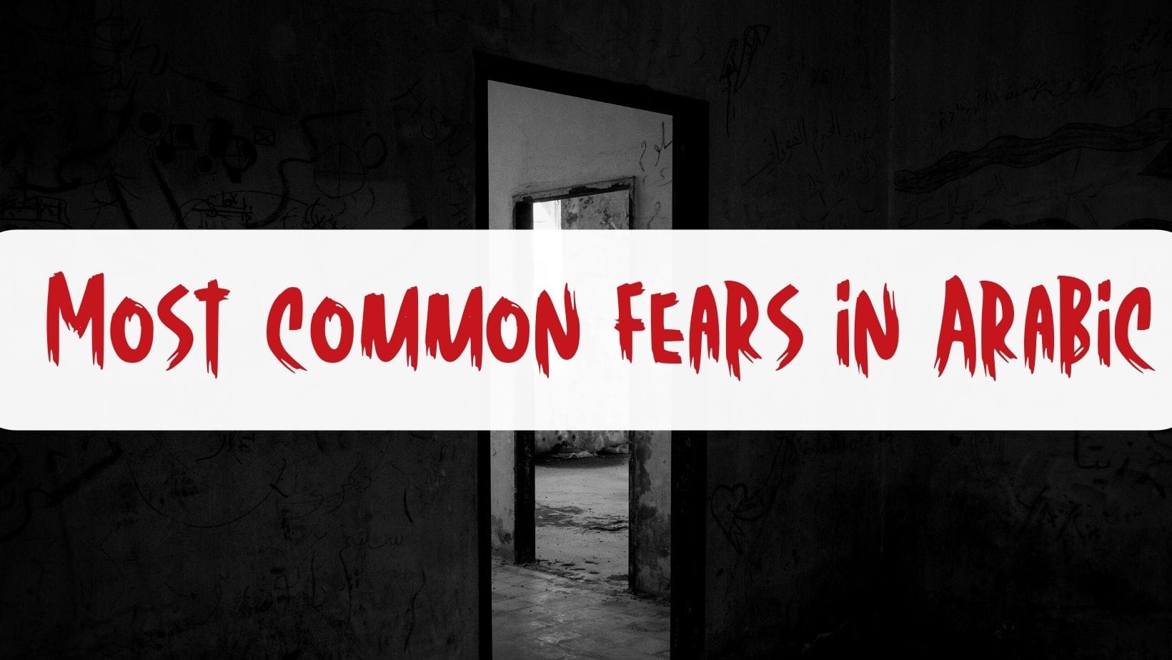 Arabic Vocabulary Lesson: Talking About Fears and Phobias with Examples