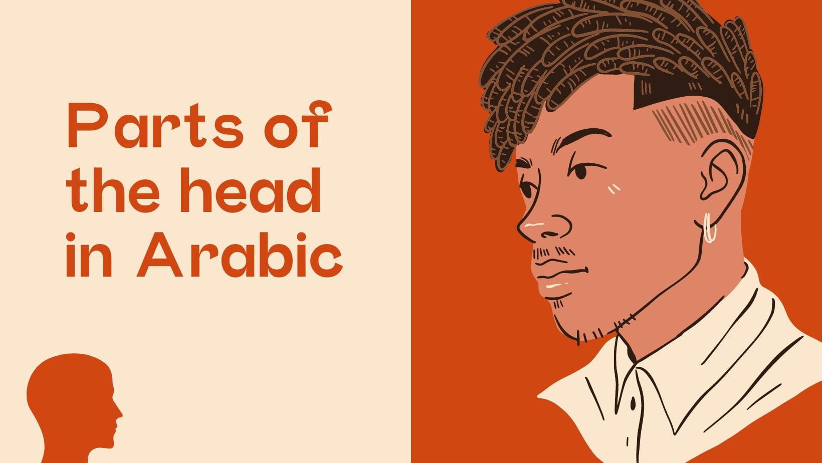 Parts of the head in Arabic