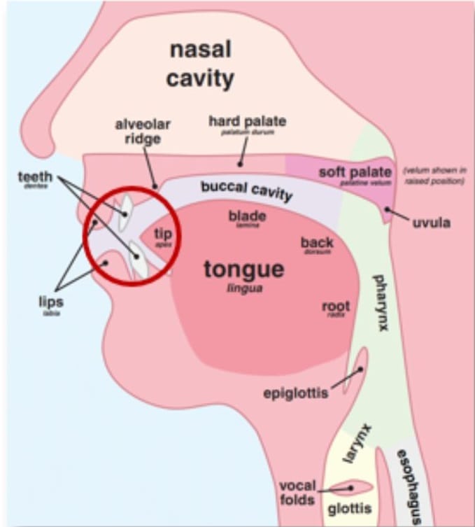 How to pronounce the Arabic letter sīn (س)?