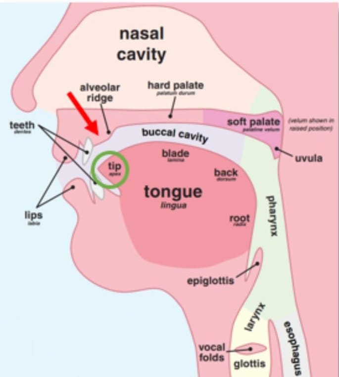 How to pronounce the letter lām (ل)?