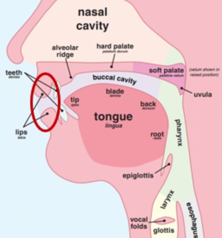 How to pronounce the letter mīm (م)?