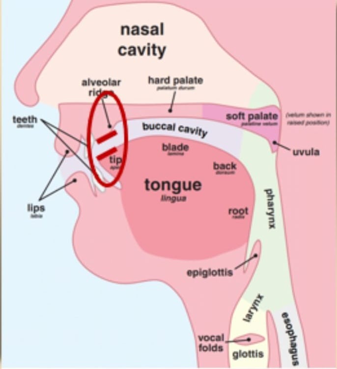 How to pronounce the Arabic letter nūn (ن)?