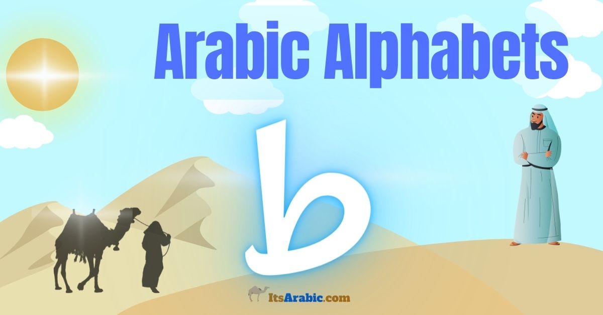 Arabic Alphabets: The letter ط {ṭāʾa}