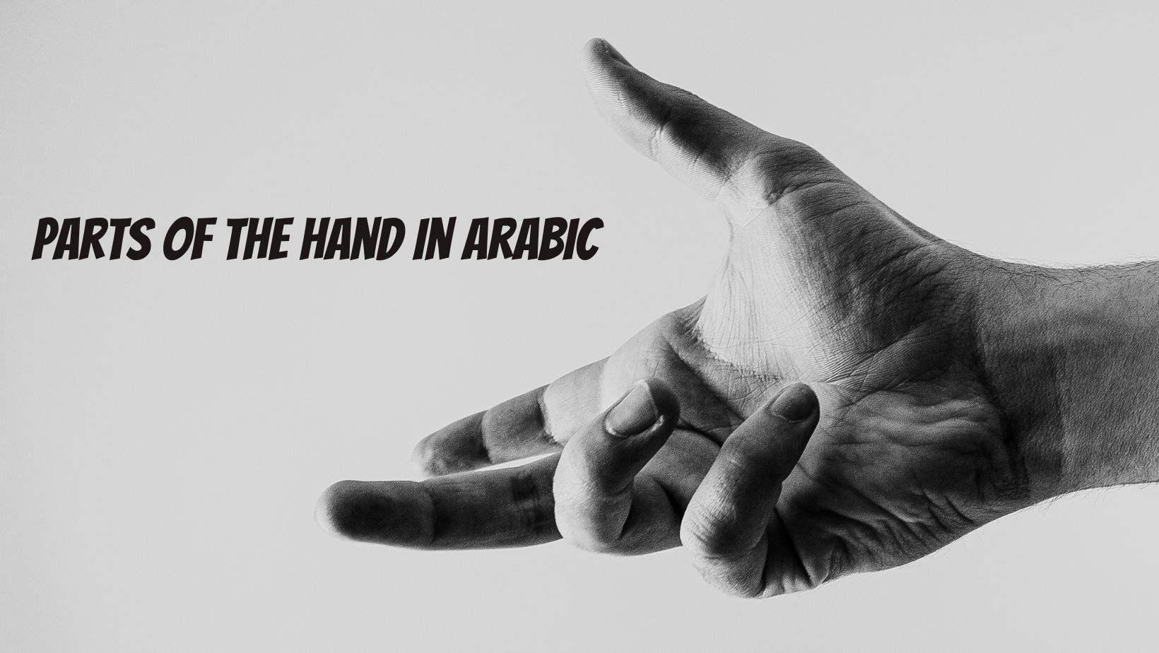 Parts of the hand in Arabic