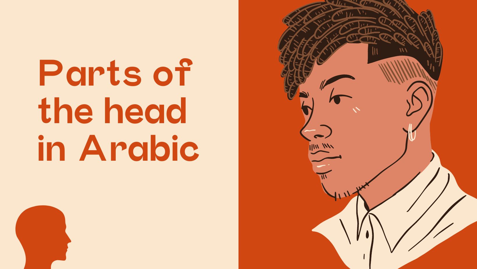 Parts of the head in Arabic