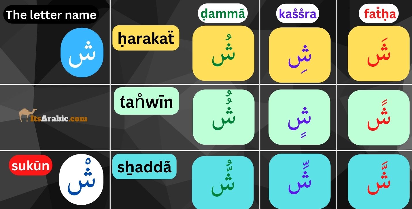 Arabic Alphabet - Shein (Sh) 🩴ش 